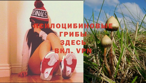 прущая мука Алексин
