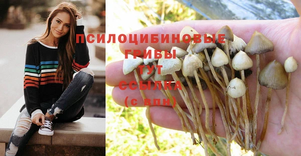 шишки Армянск