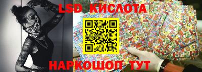 сатива Ставрополь