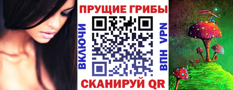 Псилоцибиновые грибы ЛСД  что такое наркотик  Петропавловск-Камчатский 