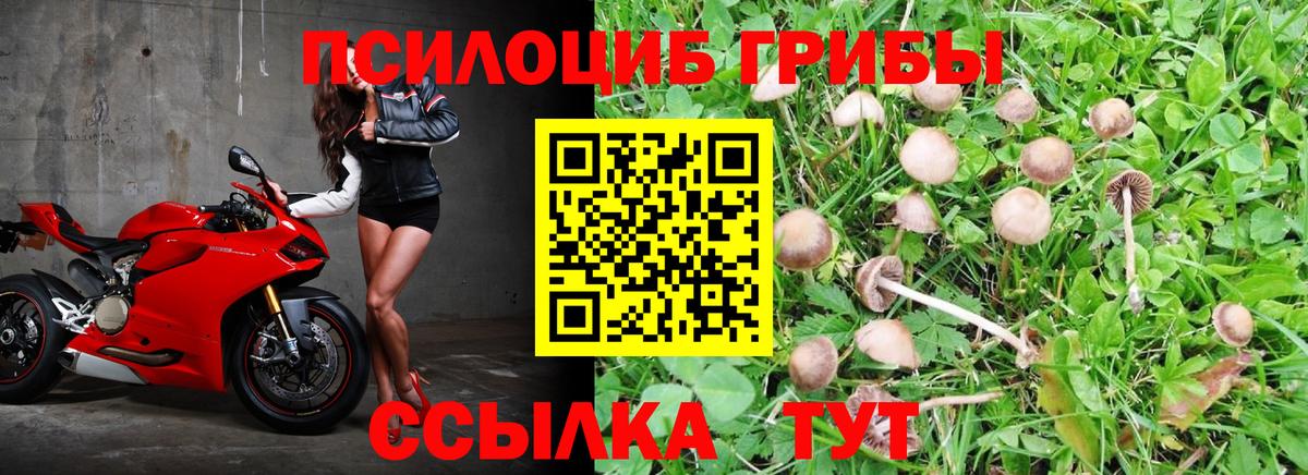 Галлюциногенные грибы мухоморы Петропавловск-Камчатский